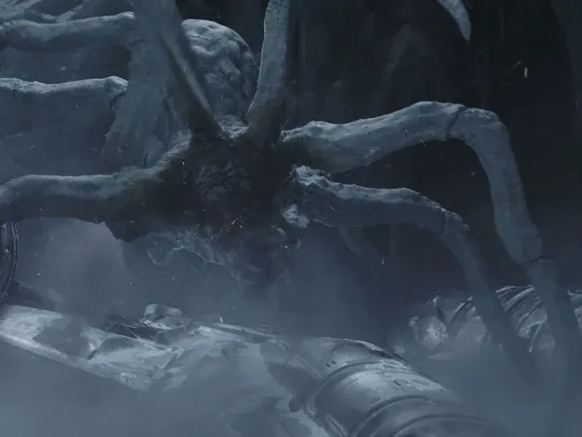 Araignée des glaces