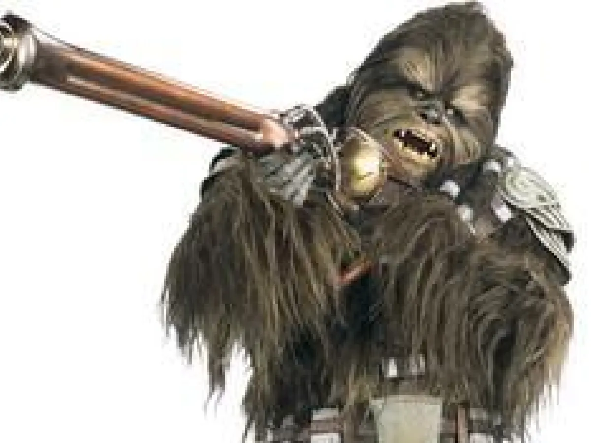 Fusil Long Kashyyyk