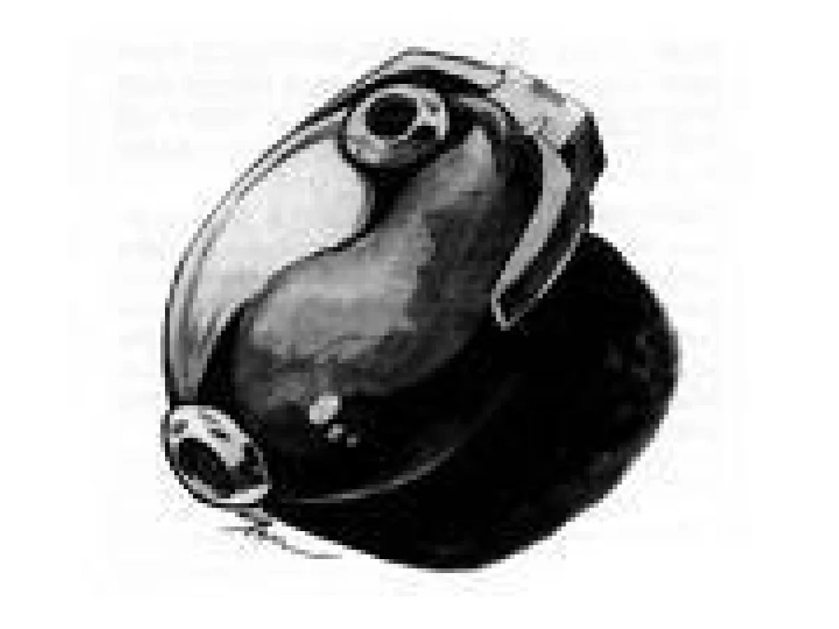 Grenade Spore/B