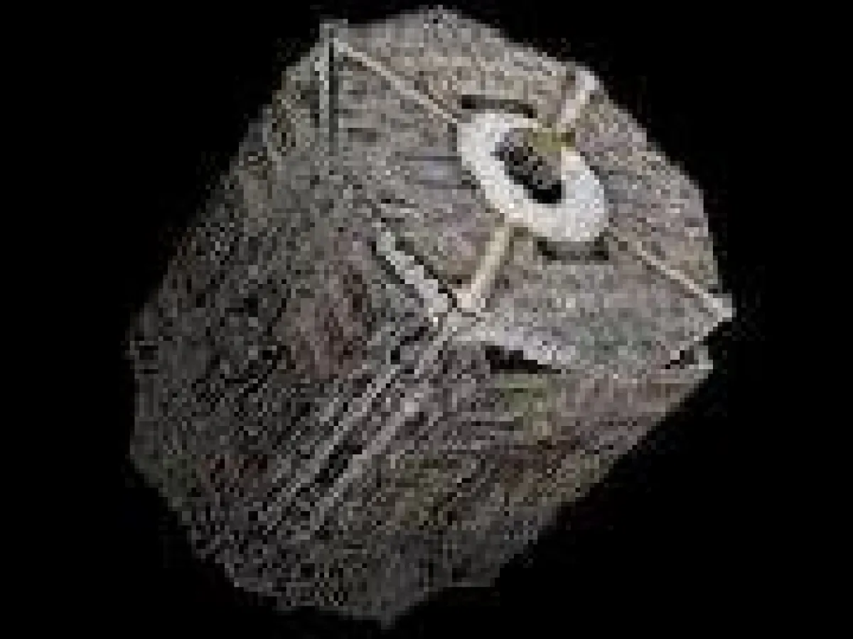 Mine de Proximité Type A