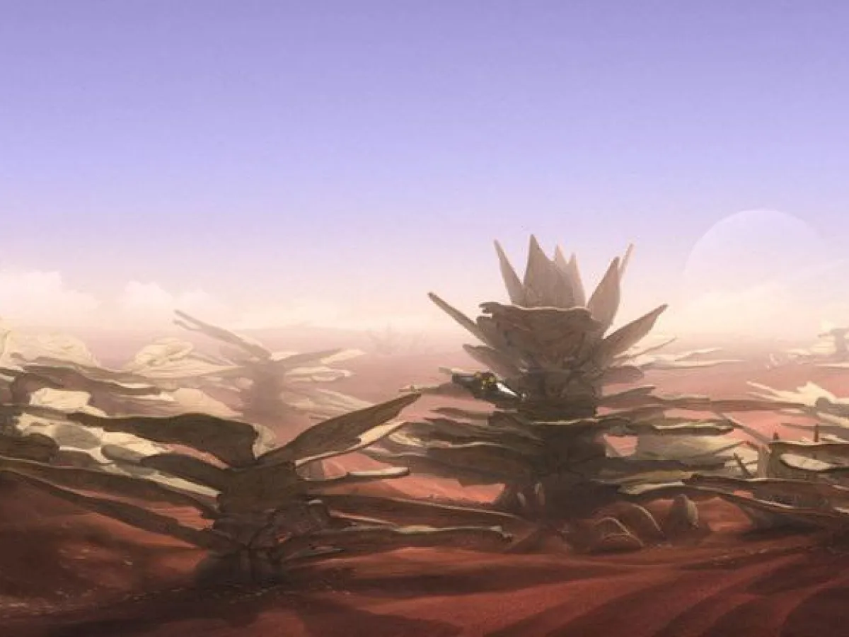 Barrière de Corail d'Atollon