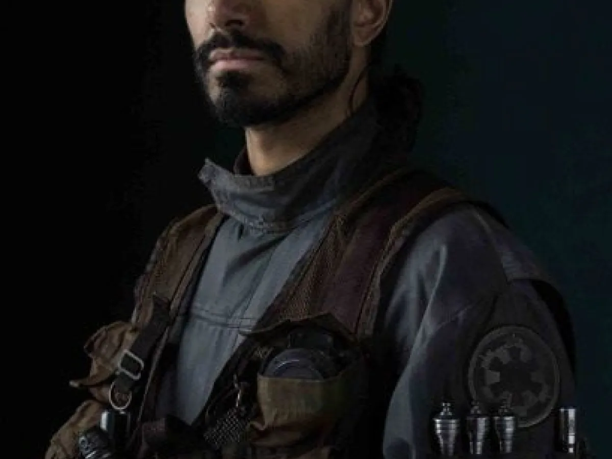 Bodhi Rook