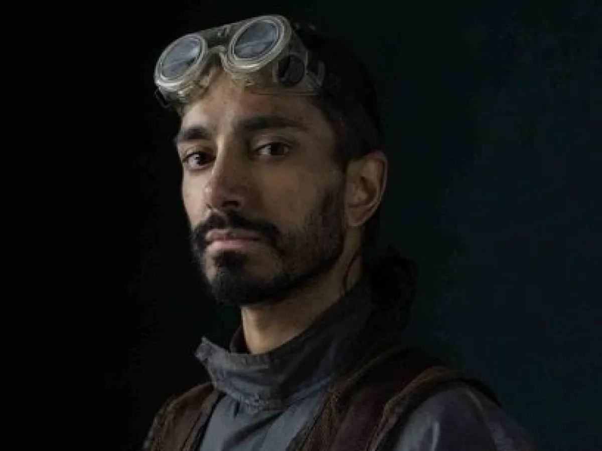 Bodhi Rook