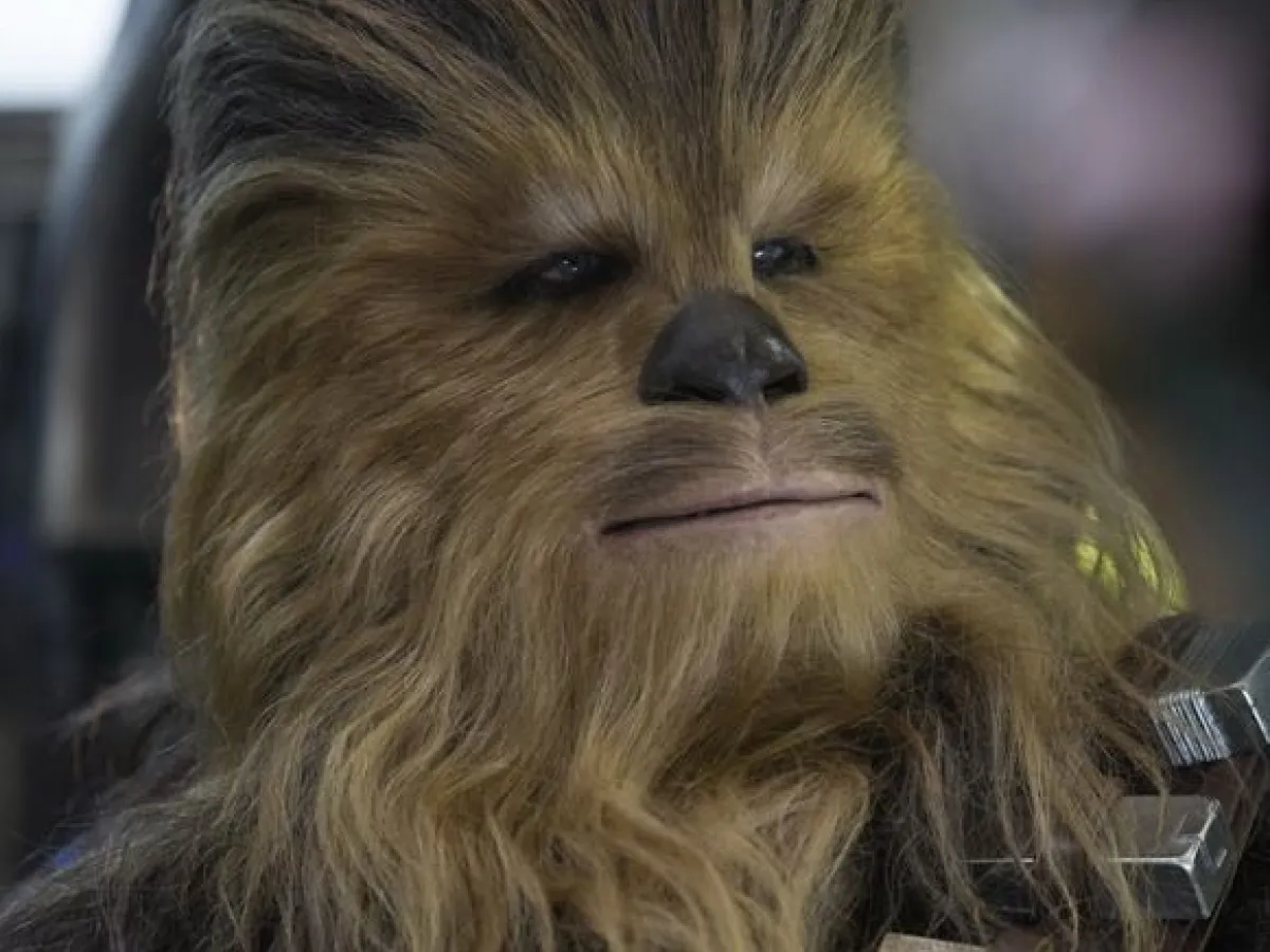 Chewbacca