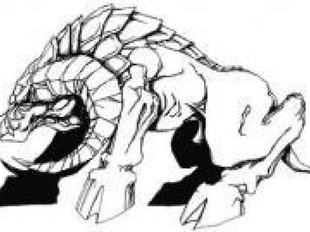 Arqet