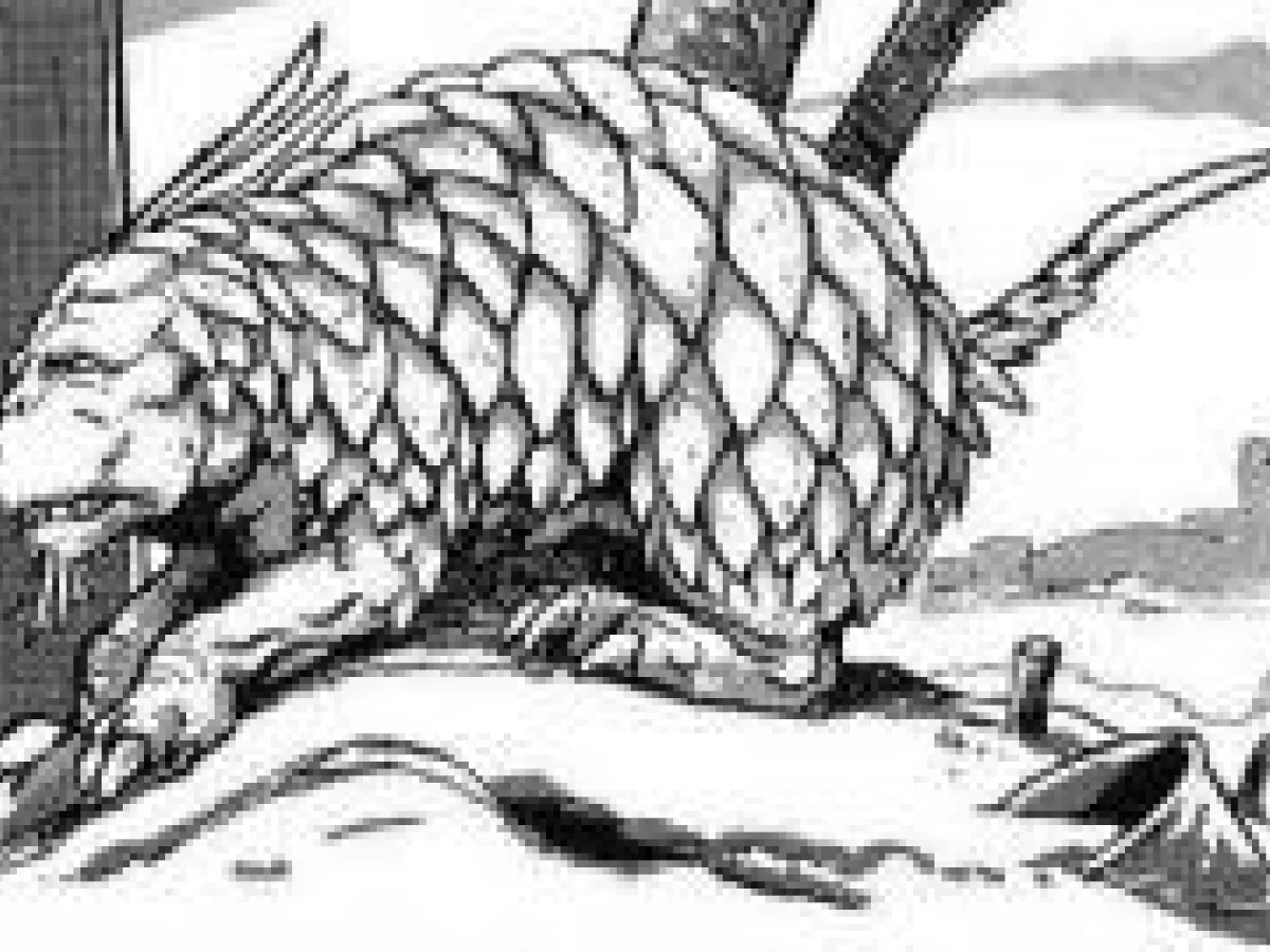 Borcatu