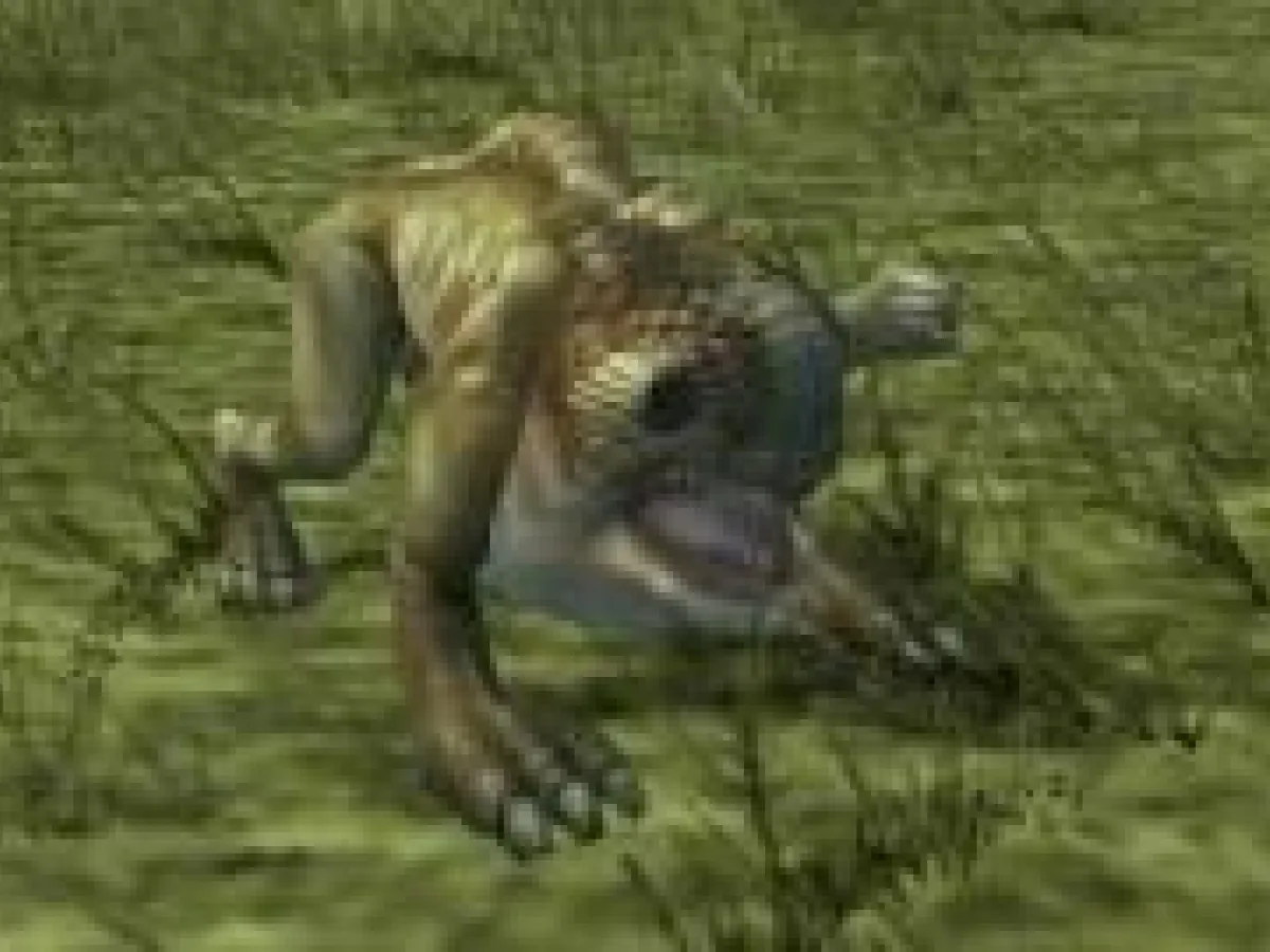 Cannok