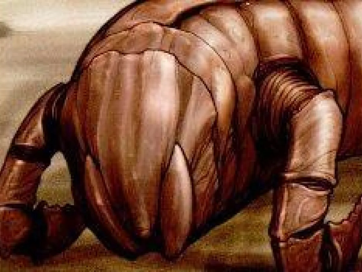 Cliffborer Worm