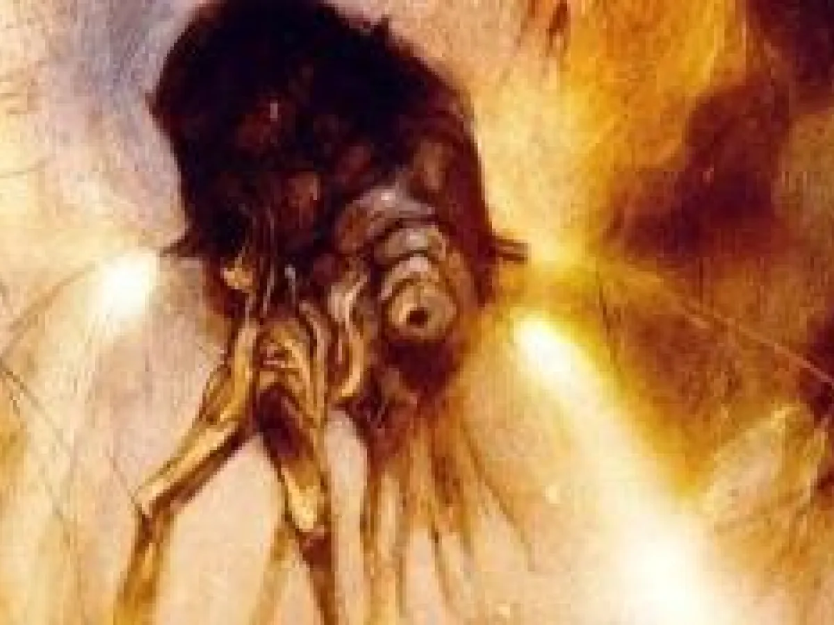 Crache-feu