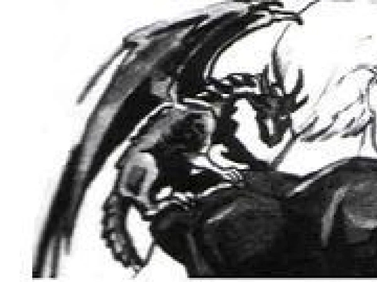 Dragon des Sables Socorran