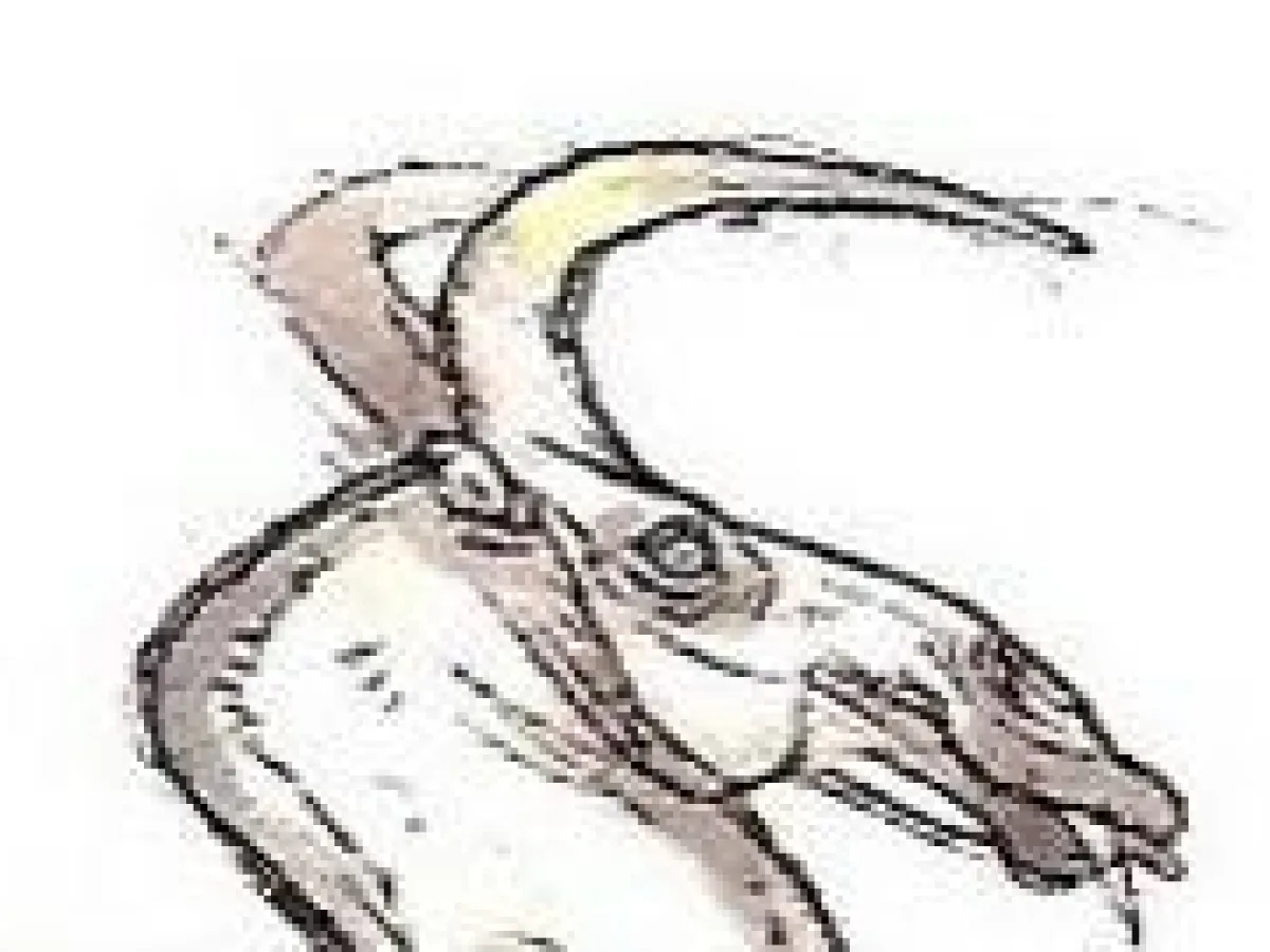 Gualama