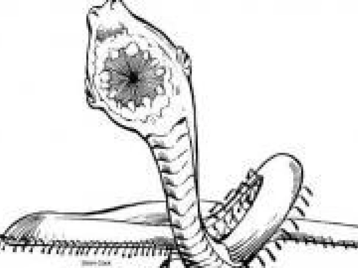 Millitile