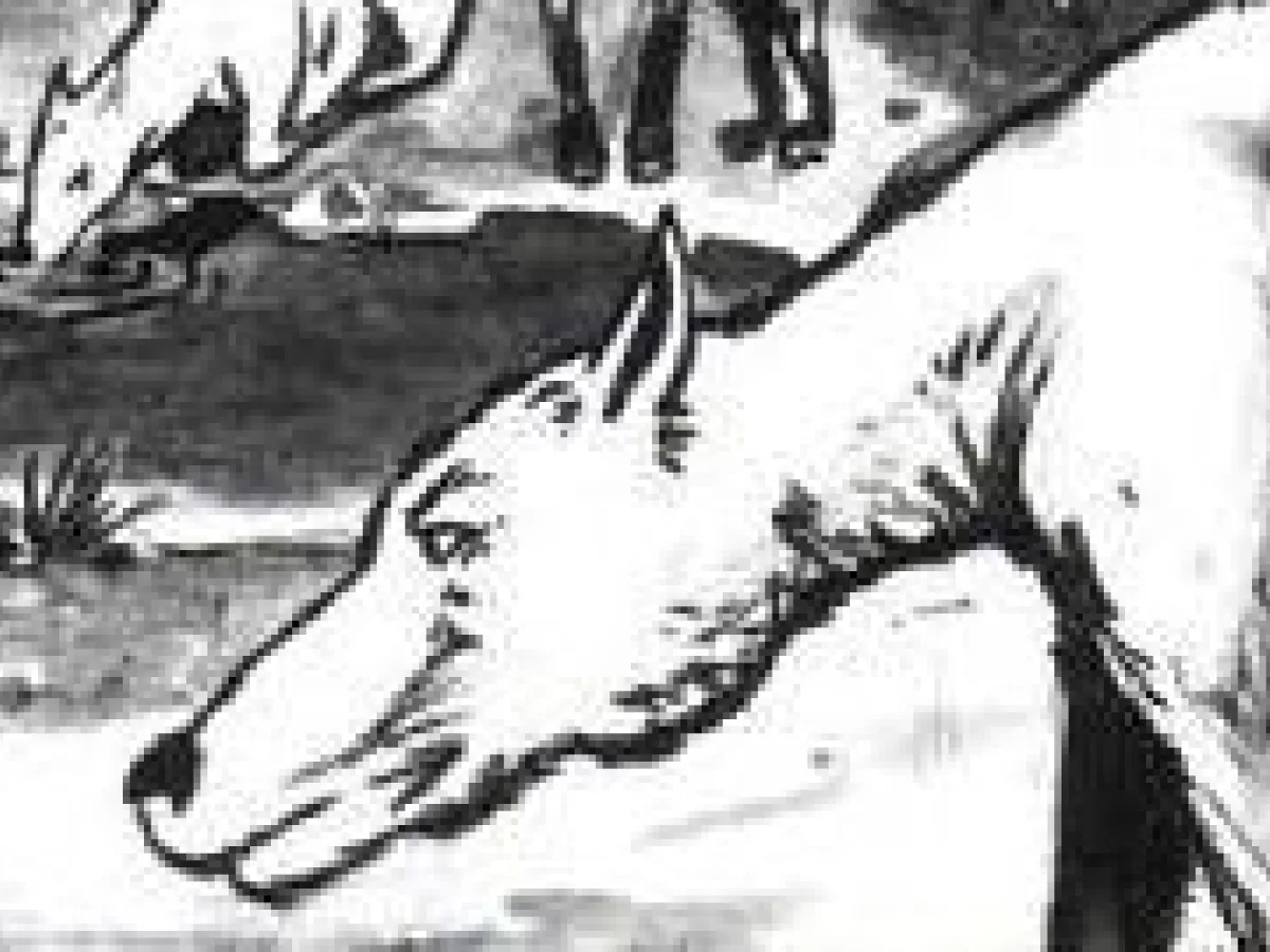 Mutriok