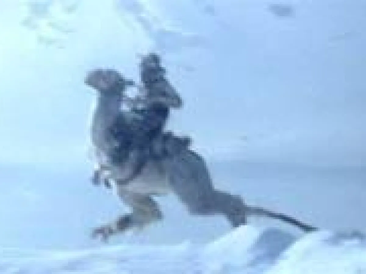 Tauntaun