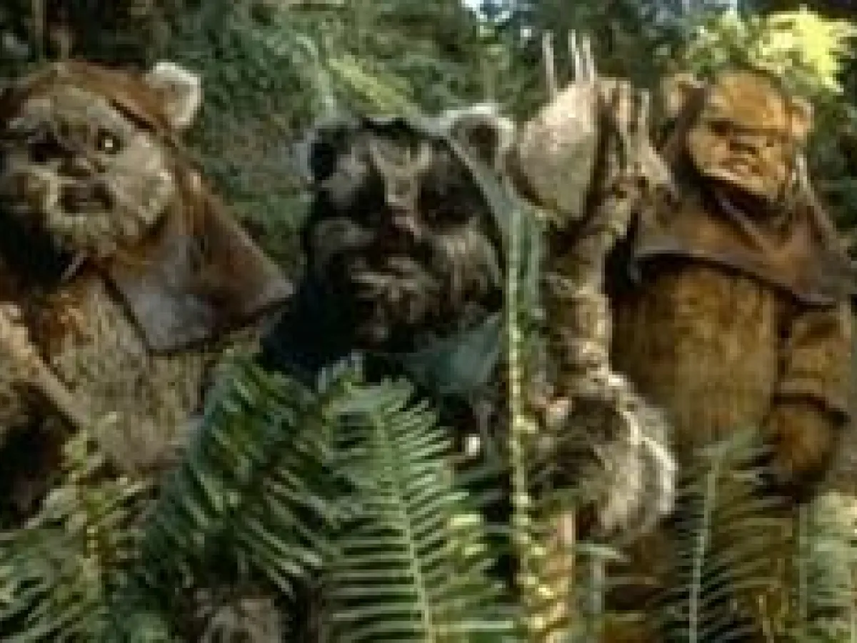Noms Ewoks