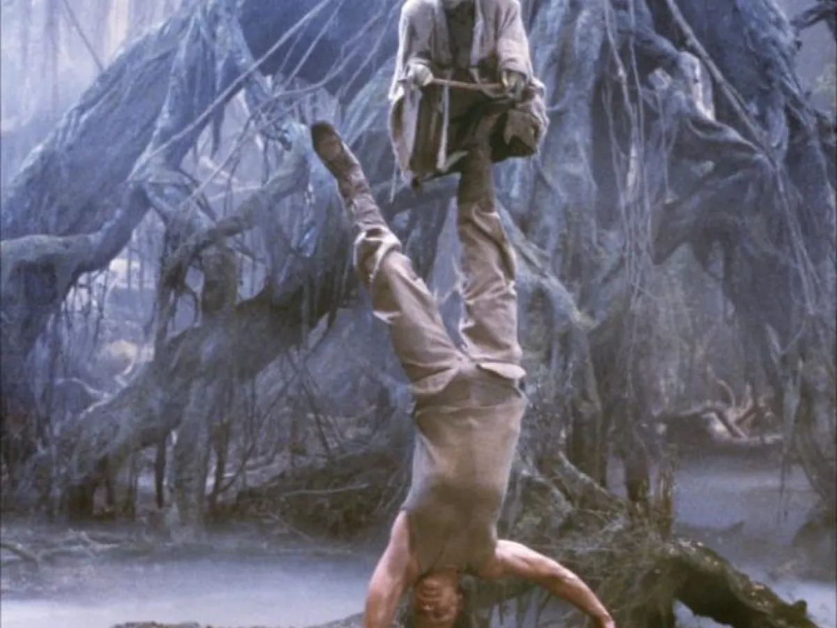Entraînement sur Dagobah