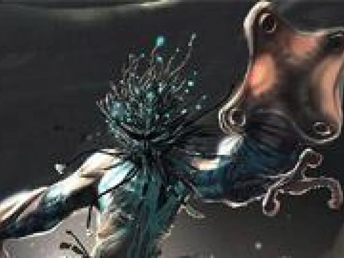 Felucien de la Jungle