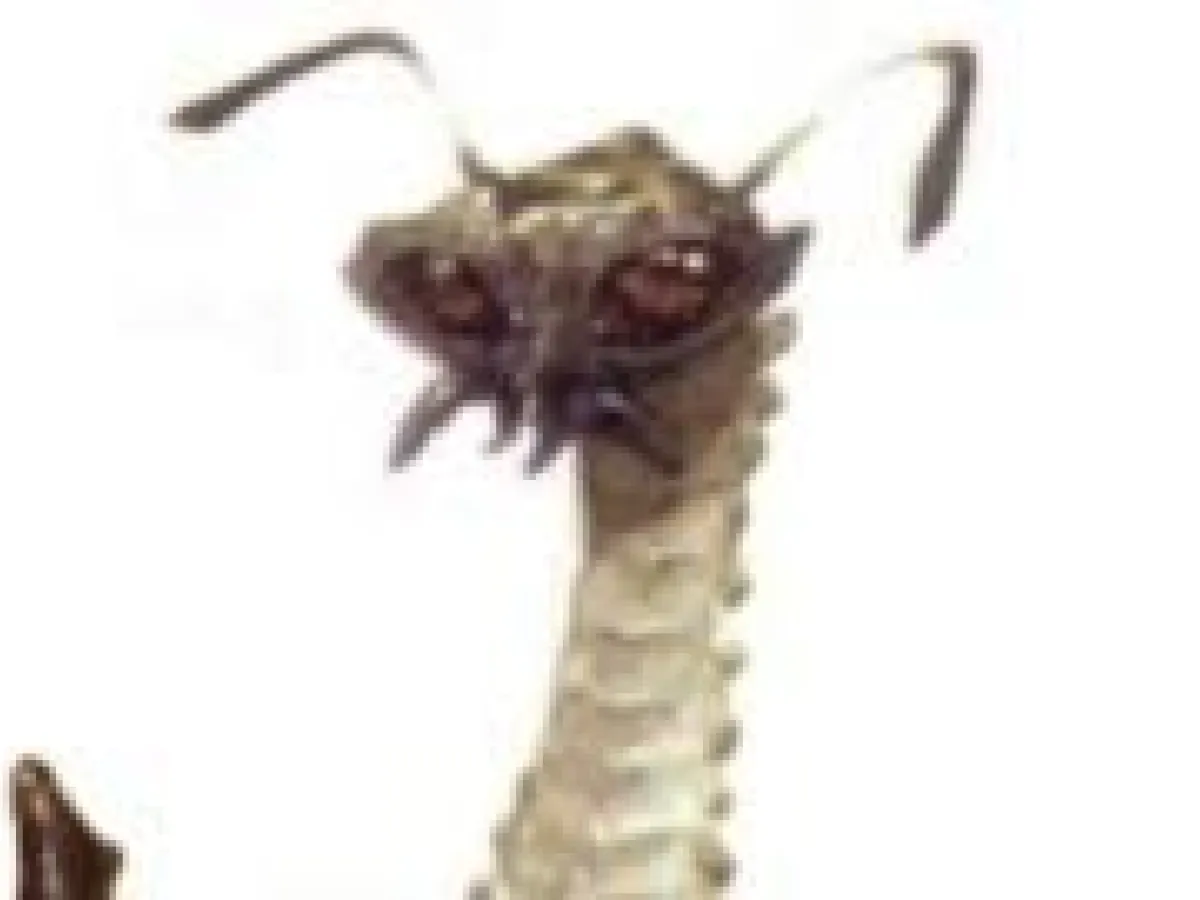 Vratix