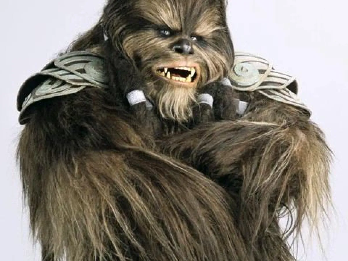 Wookiee