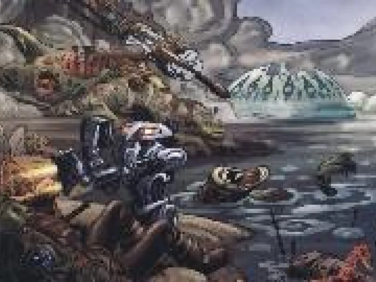 Bataille d'Ohma-D'Un