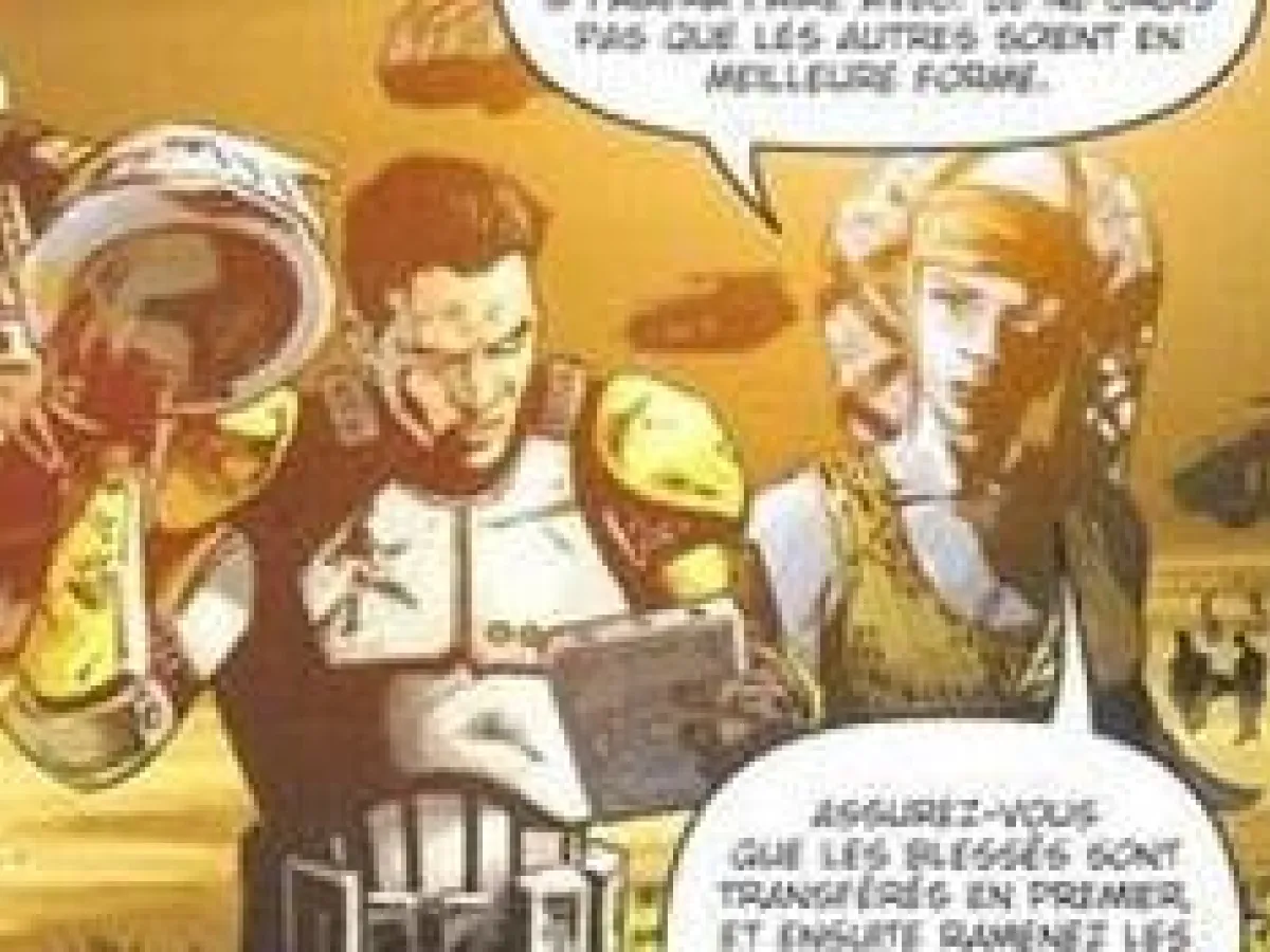 Bataille de New Holstice