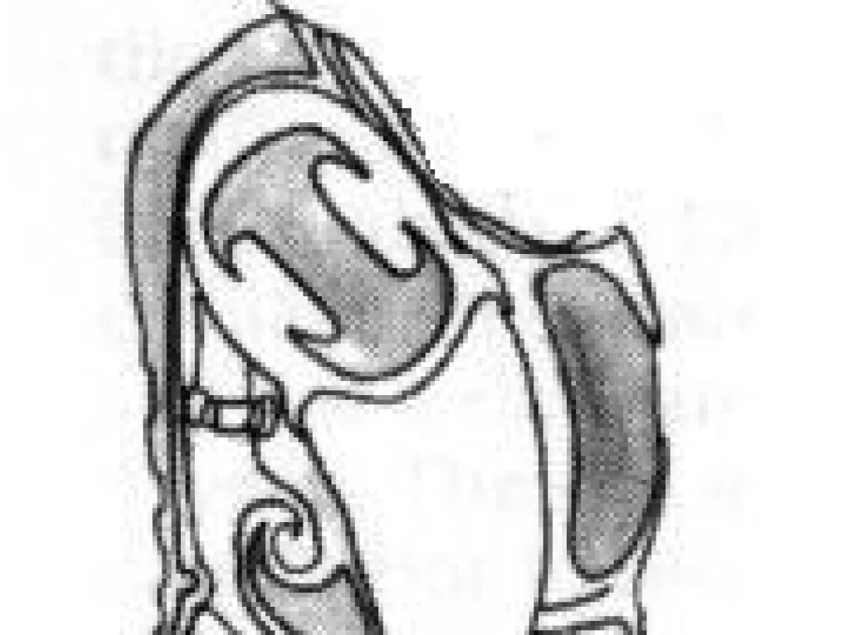 Armure Leviathan