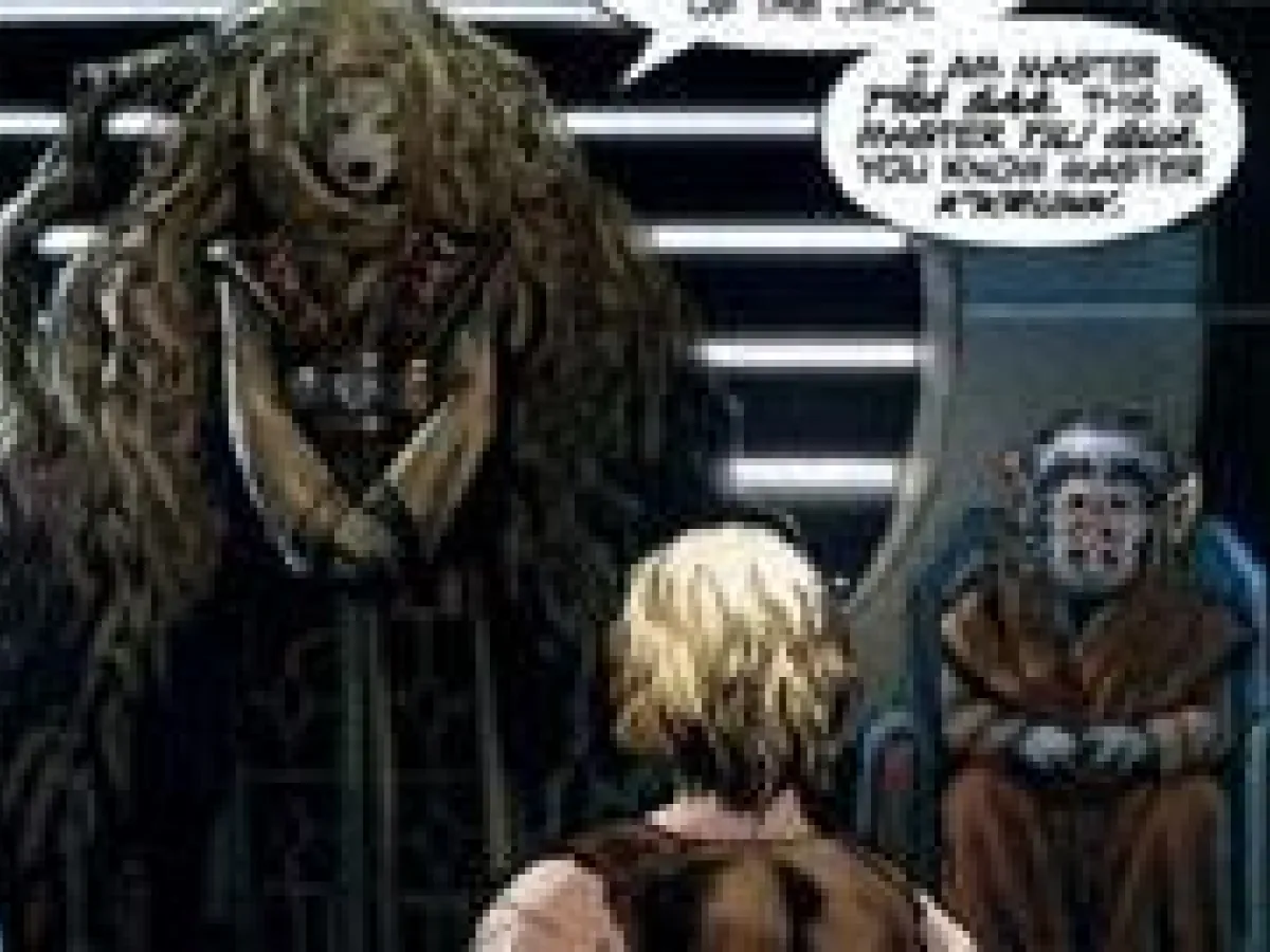 Conseil des Maîtres