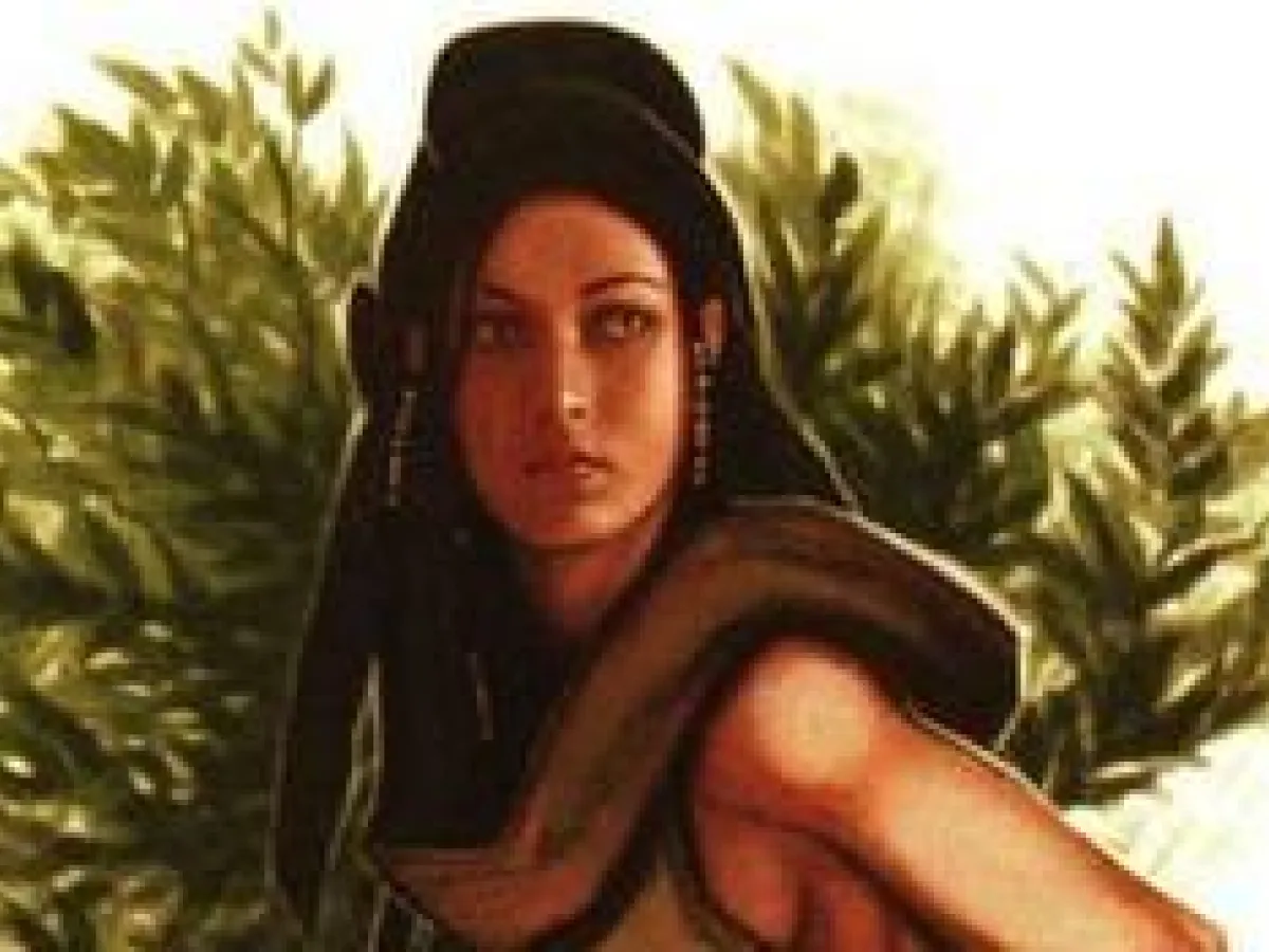 Fallanassi