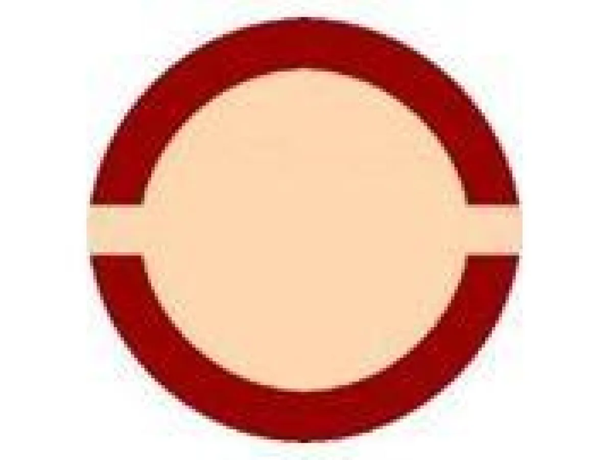 Flotte de l'Open Circle