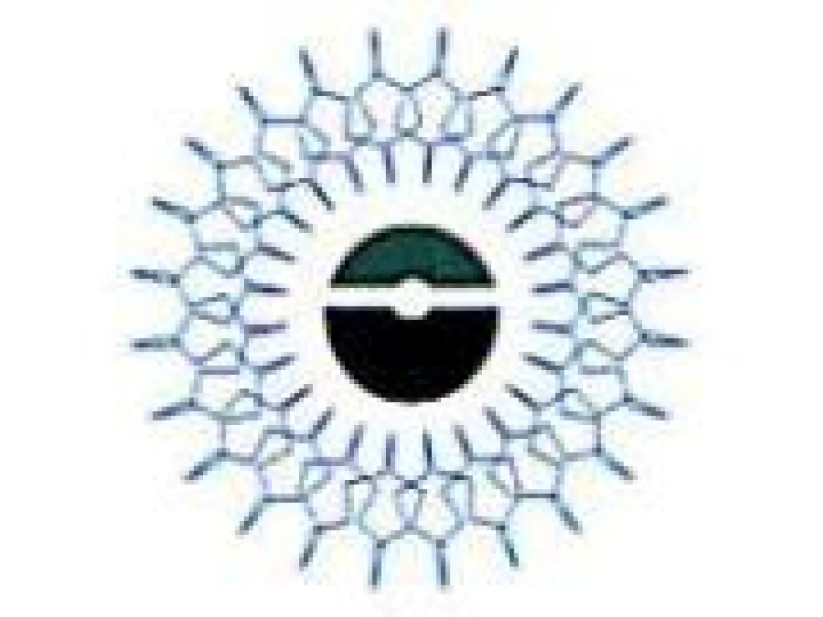 Nubian Design Collective