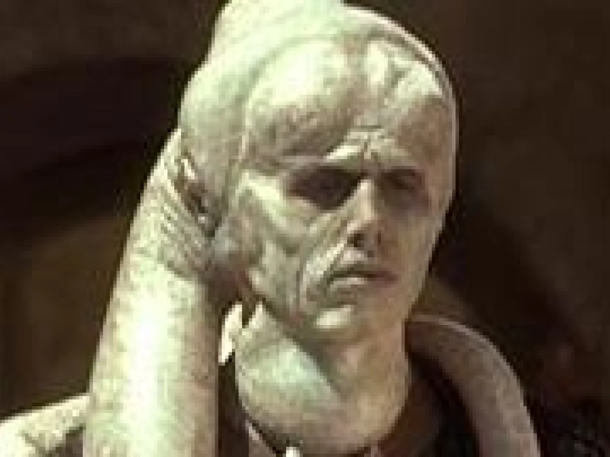 Bib Fortuna