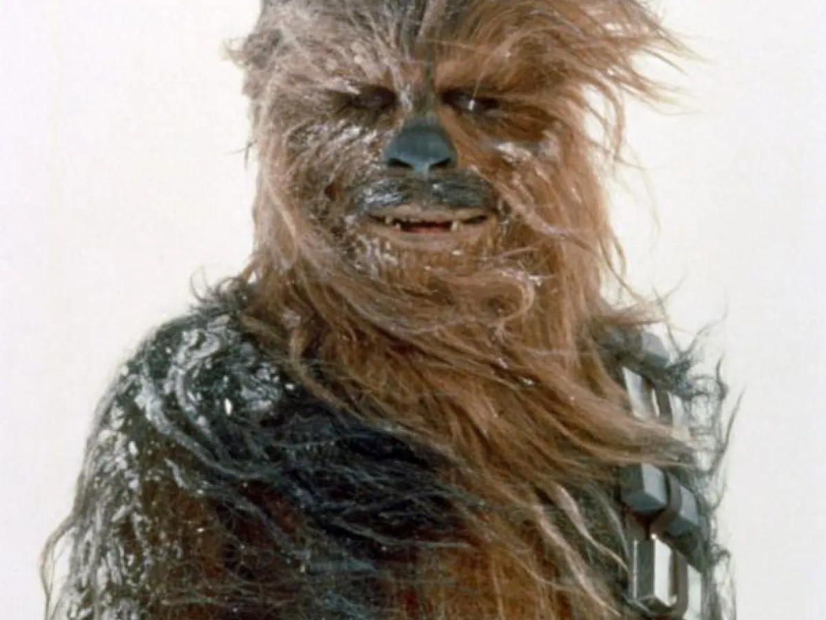 Chewbacca