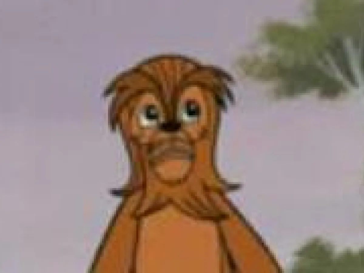 Jaccoba