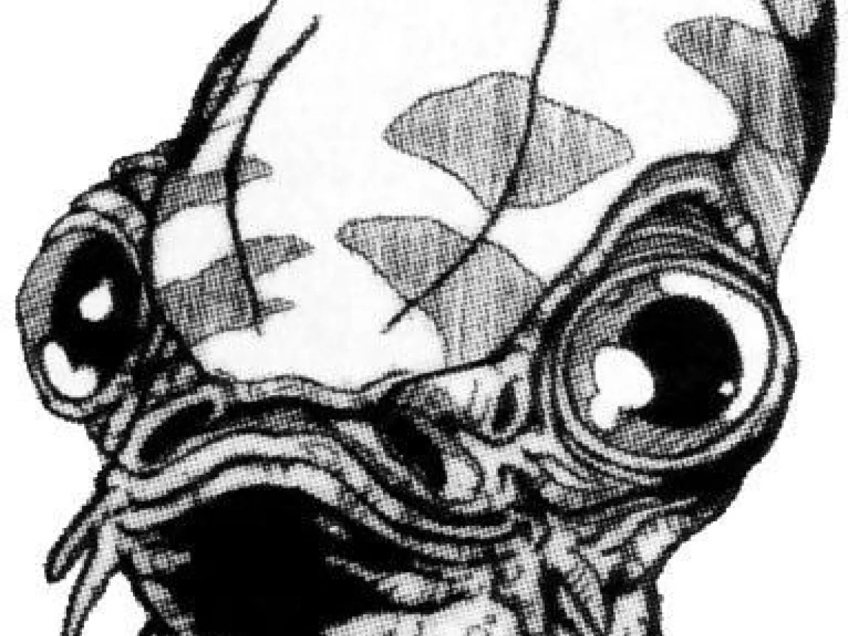 Jesmin Ackbar
