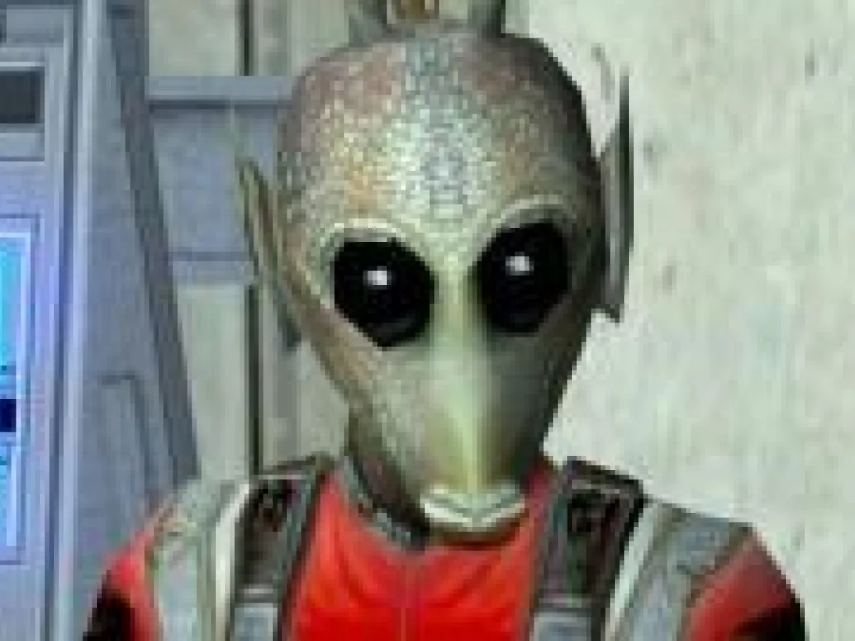 Koobis