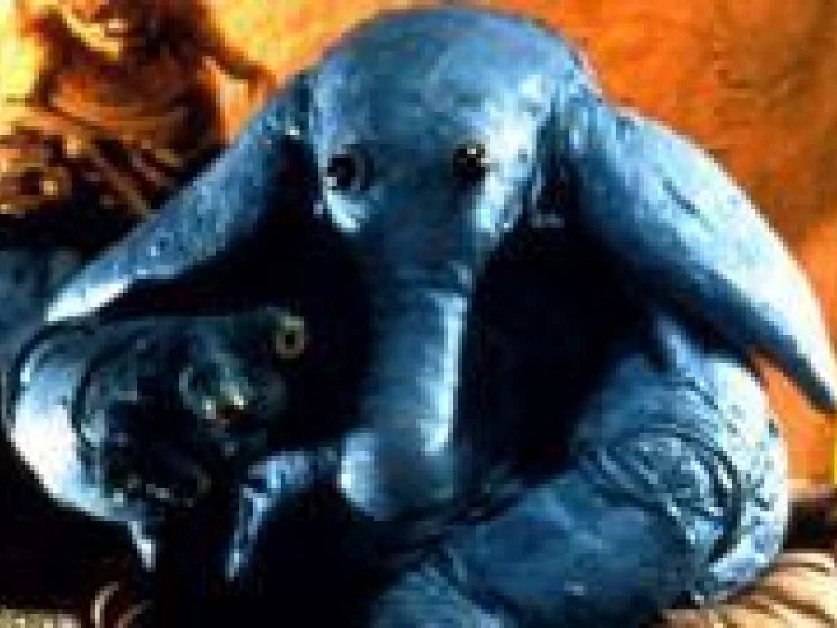 Max Rebo