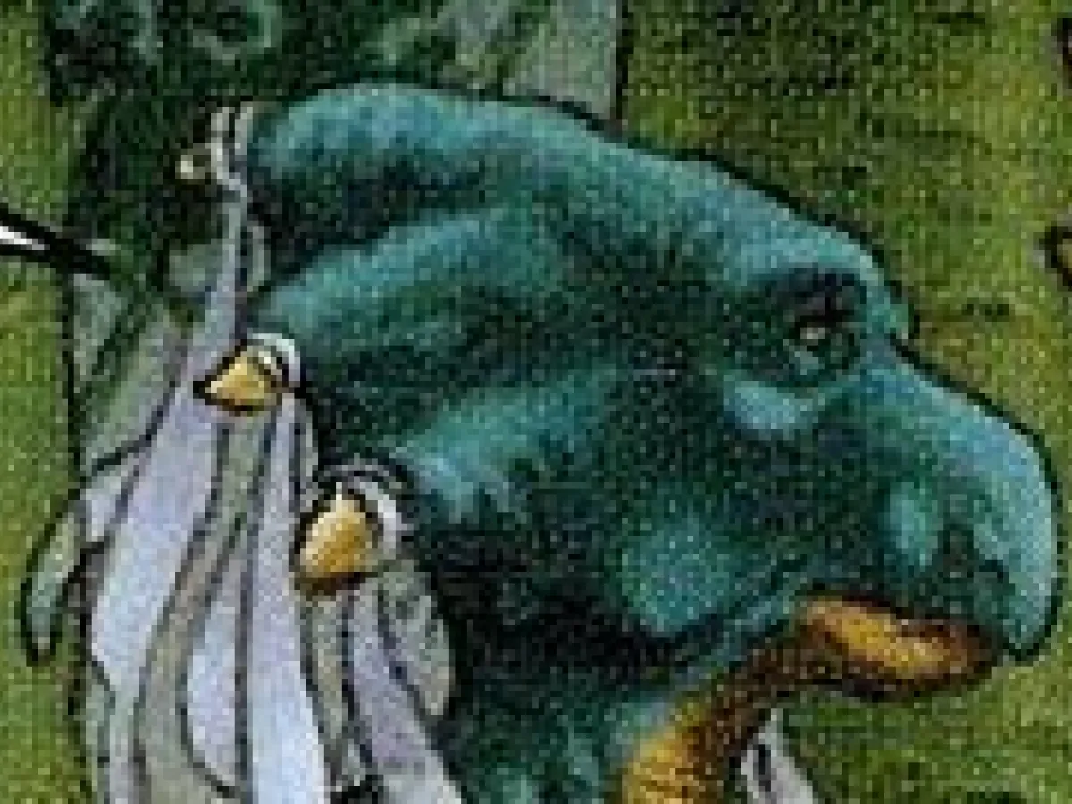 Mesa Greenbark