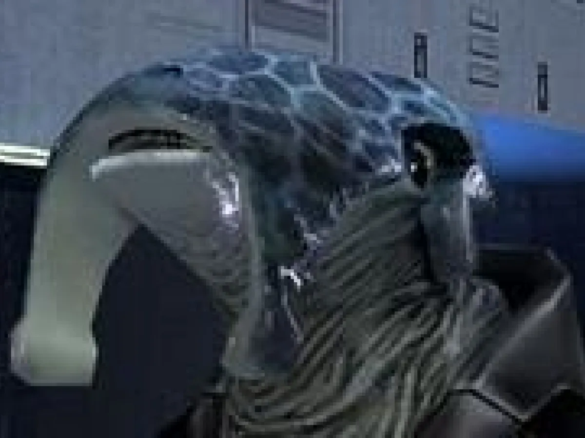 Shasa