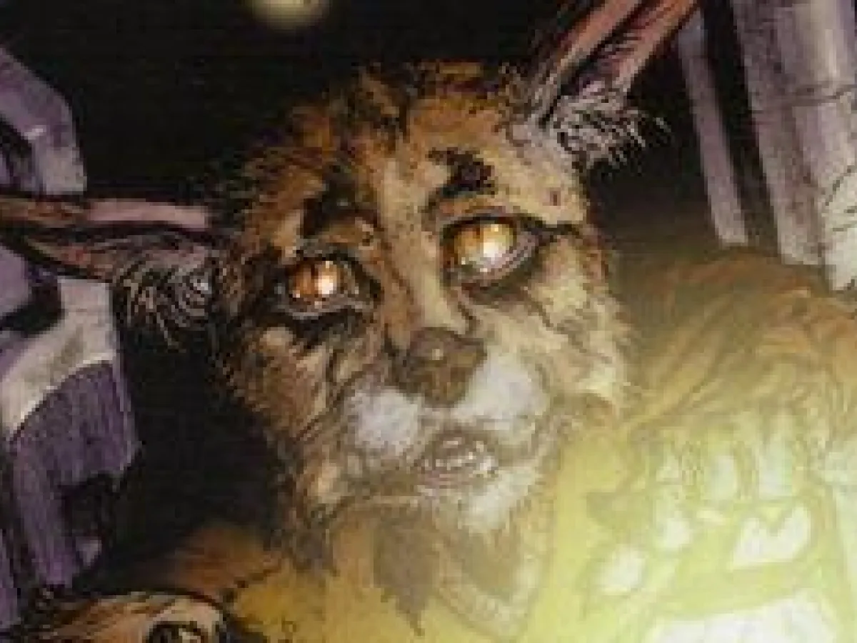 Toki Tollivar