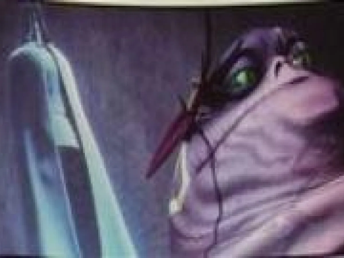 Ziro le Hutt