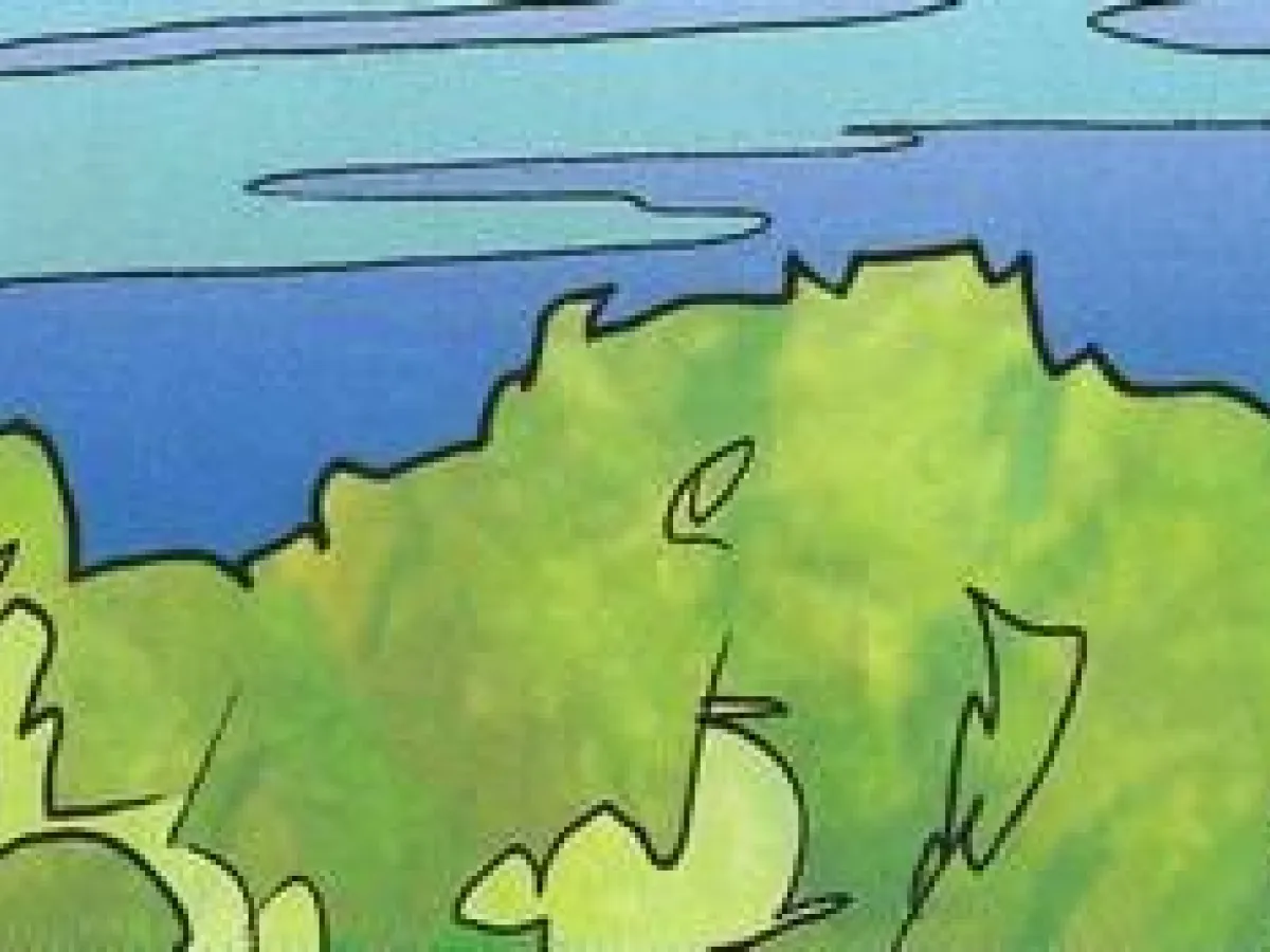 Hakara