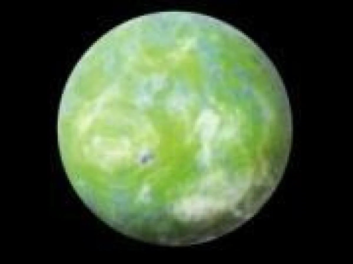 Umbara