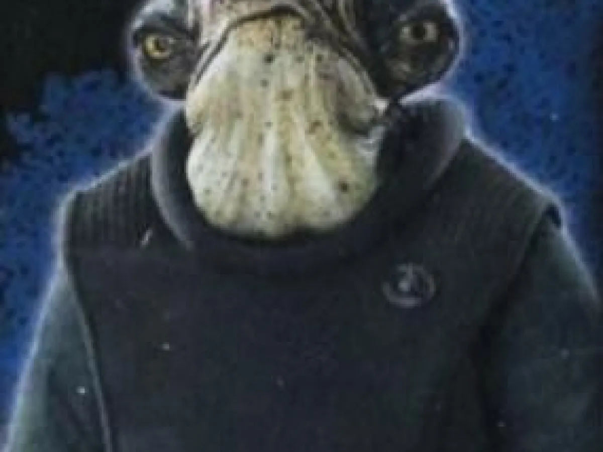 Raddus