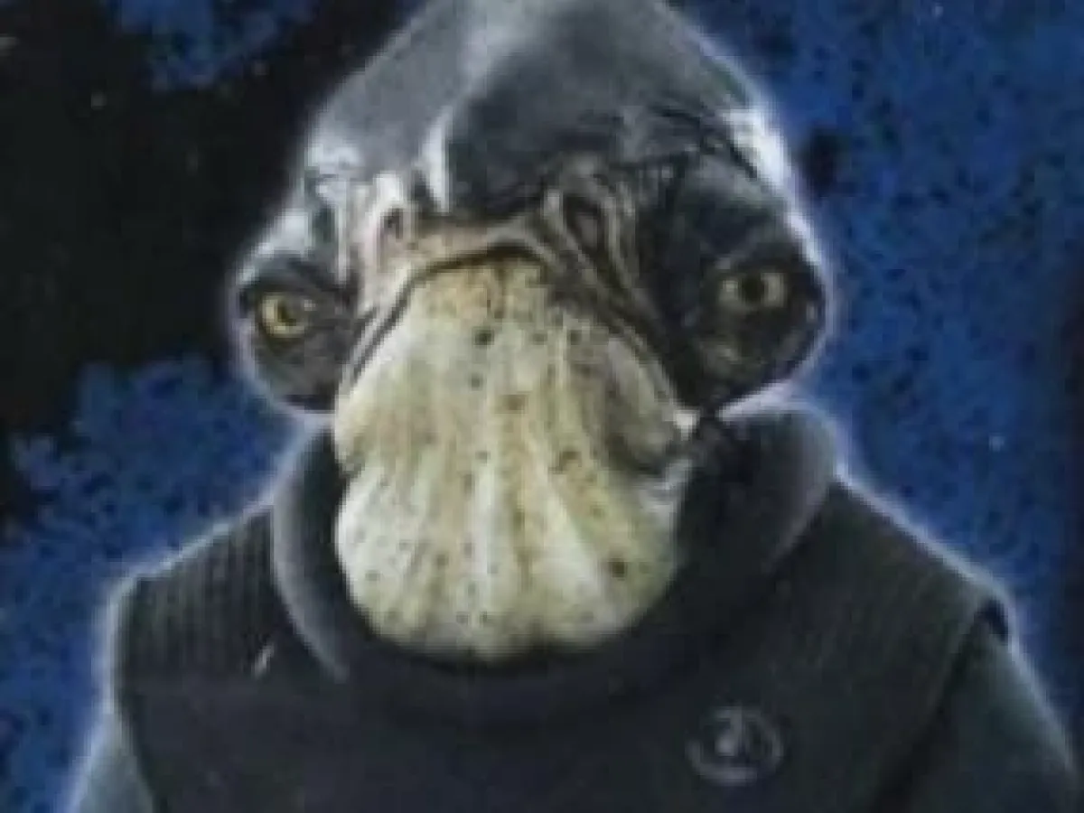 Raddus