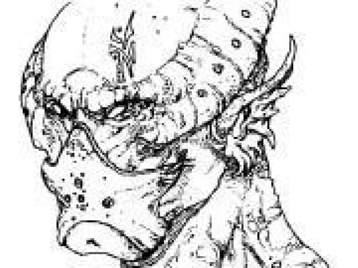 Gnullith