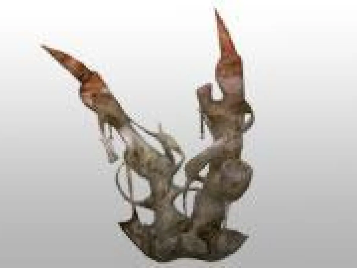 Implant de restriction corallien