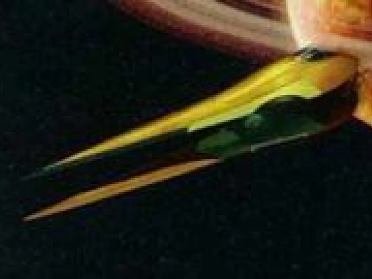 Chasseur stellaire Geonosien