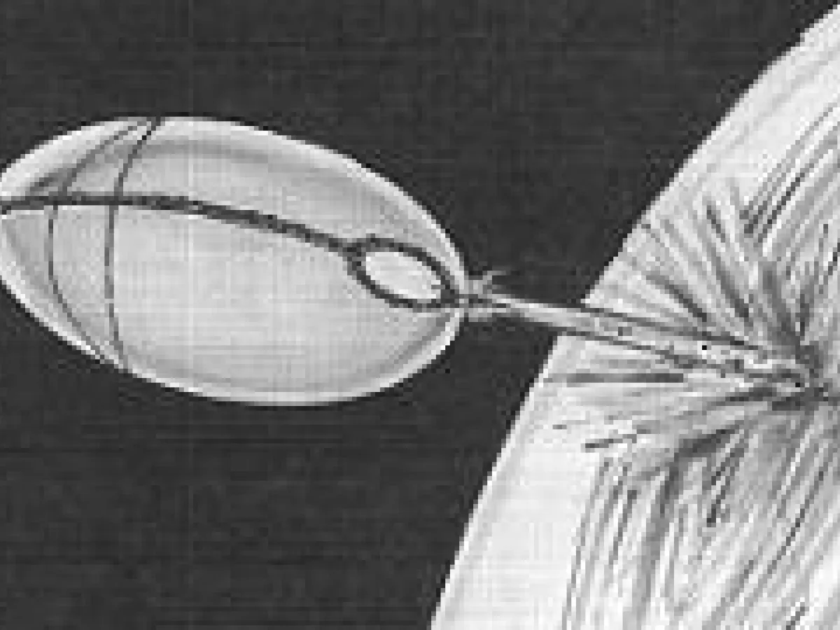 Torpedo Sphère