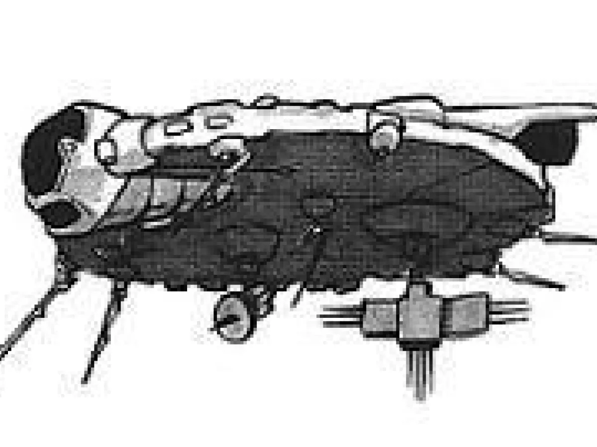 Vaisseau d'Investigation Astrogator