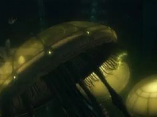 Méduse Hydroïde